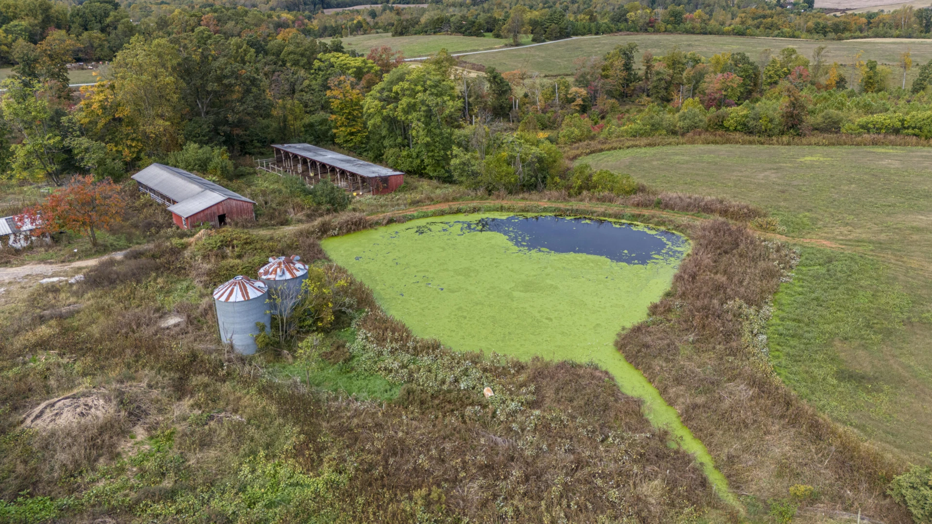 9961 Falling Creek RD - Photo 7