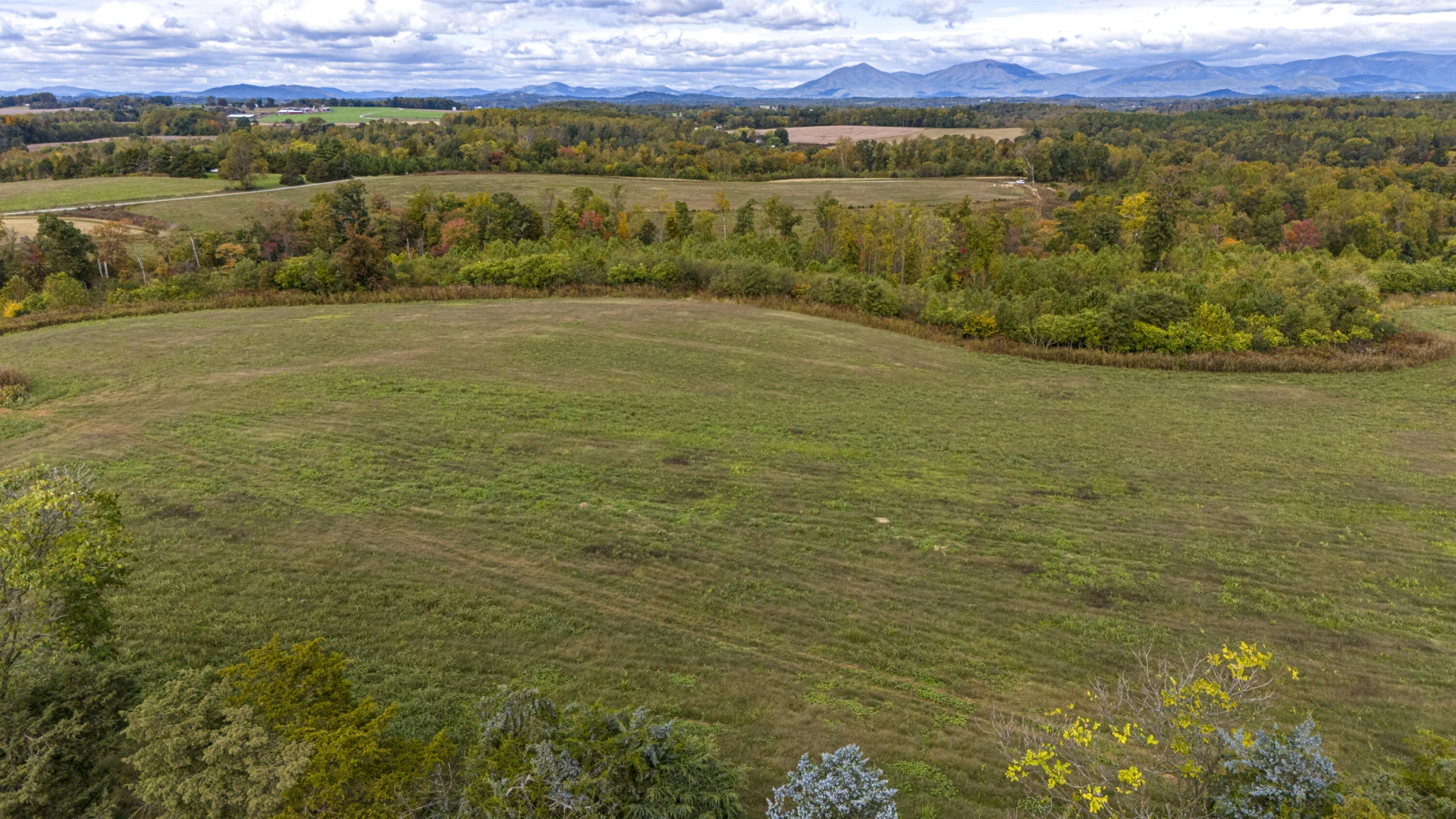 9961 Falling Creek RD - Photo 8