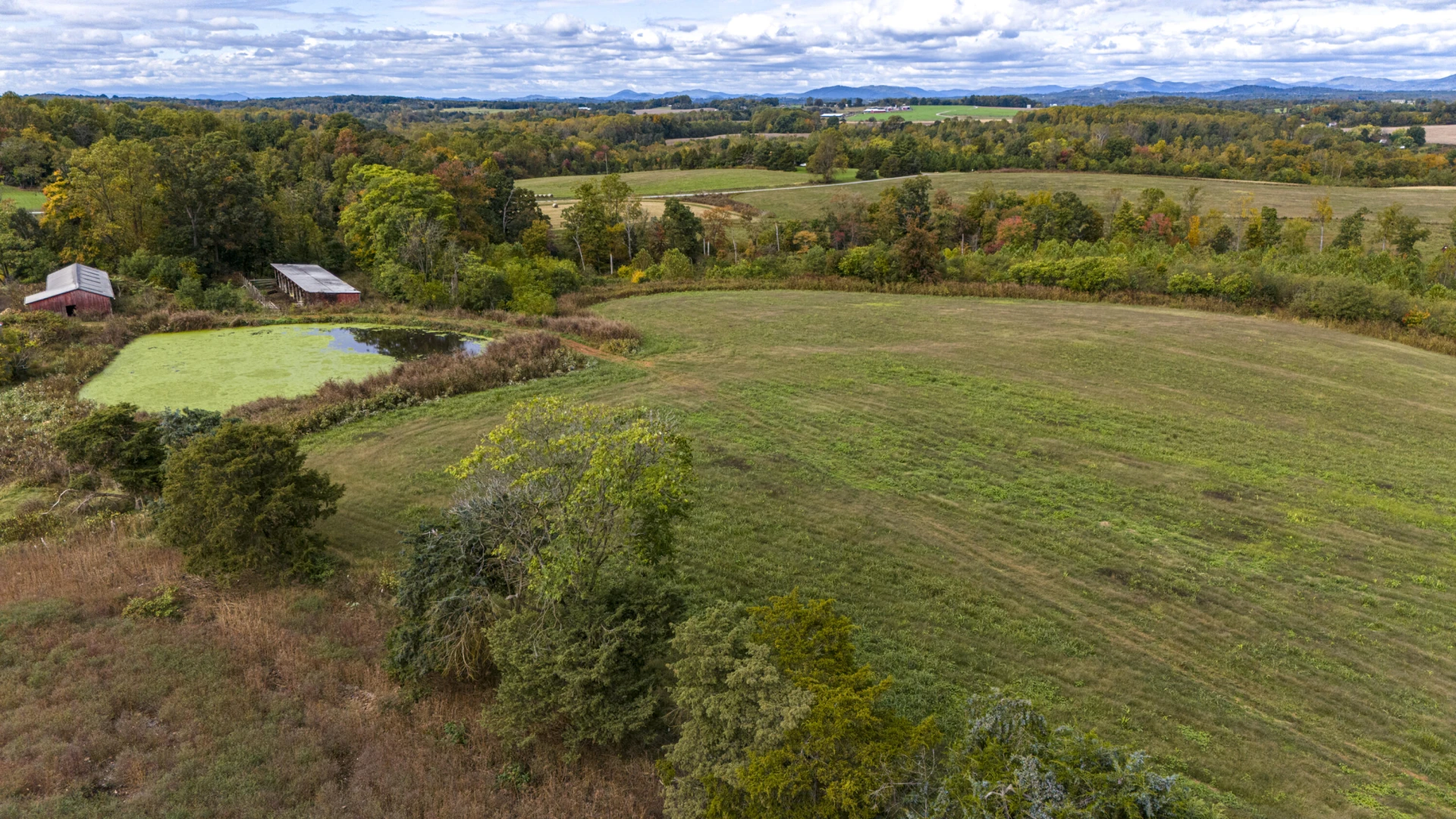 9961 Falling Creek RD - Photo 9