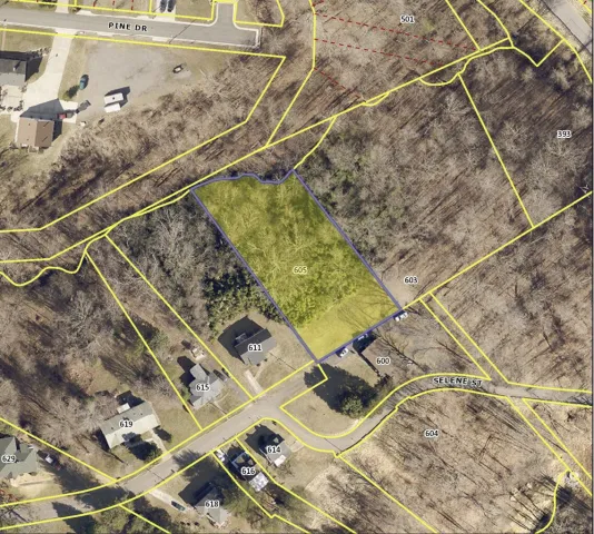 605 Selene ST, Lynchburg, VA, 24503