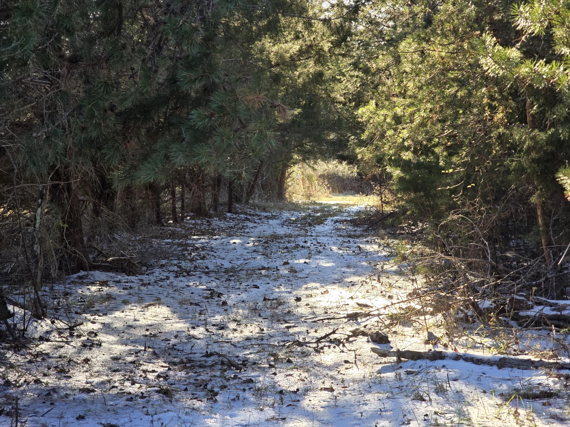 0 Joppa Mill RD - Photo 8