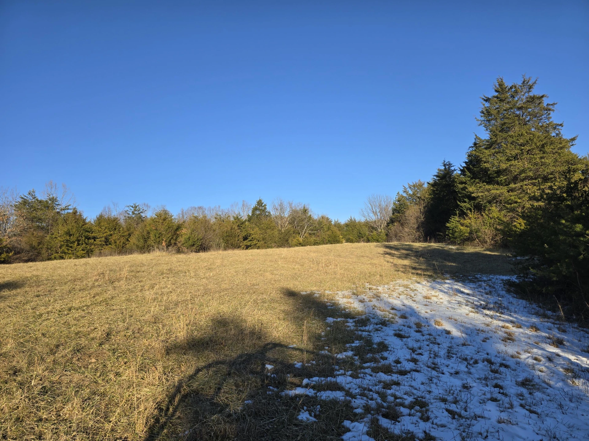 0 Joppa Mill RD - Photo 9