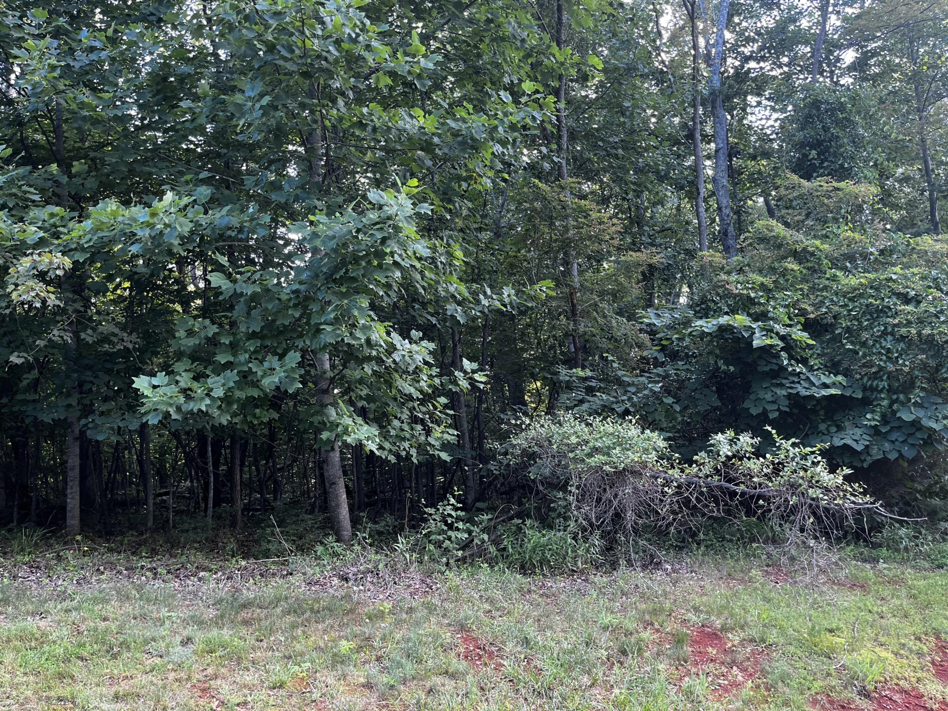 Lot 359 Clear Pointe Run - Photo 15