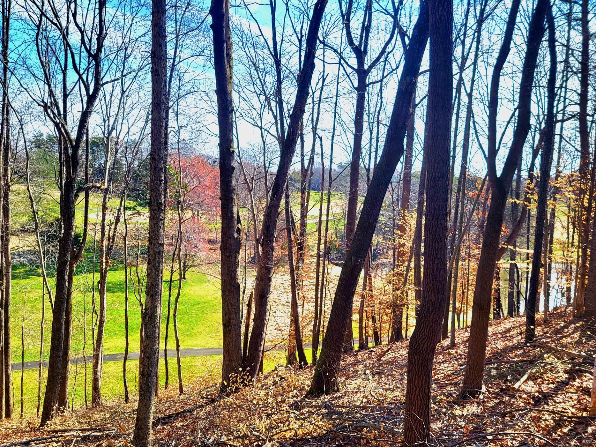 67 Peaks View DR