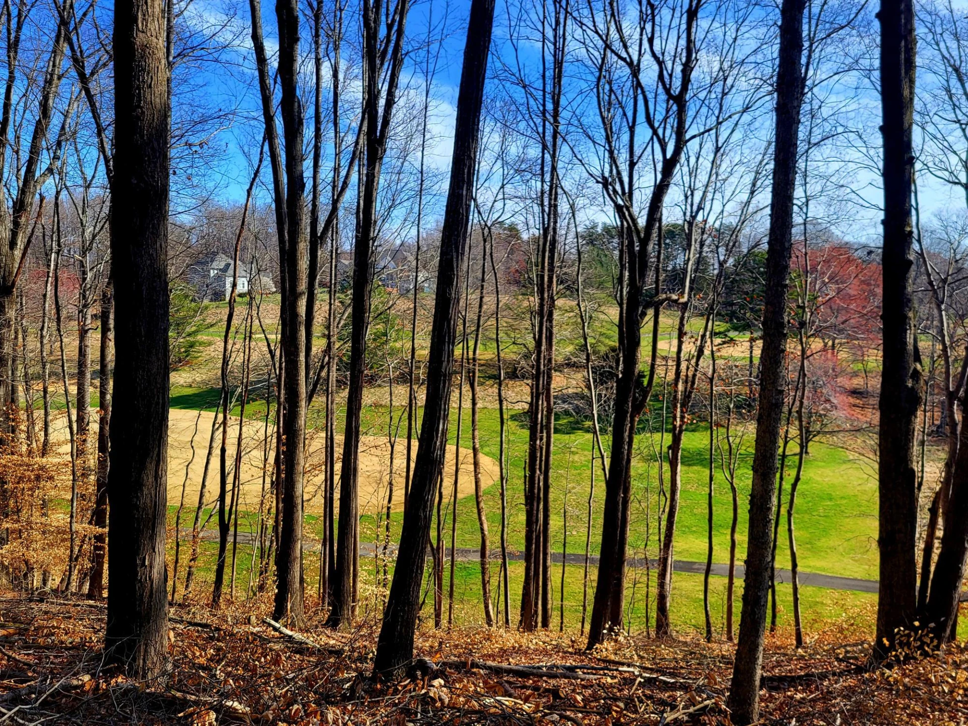67 Peaks View DR - Photo 2