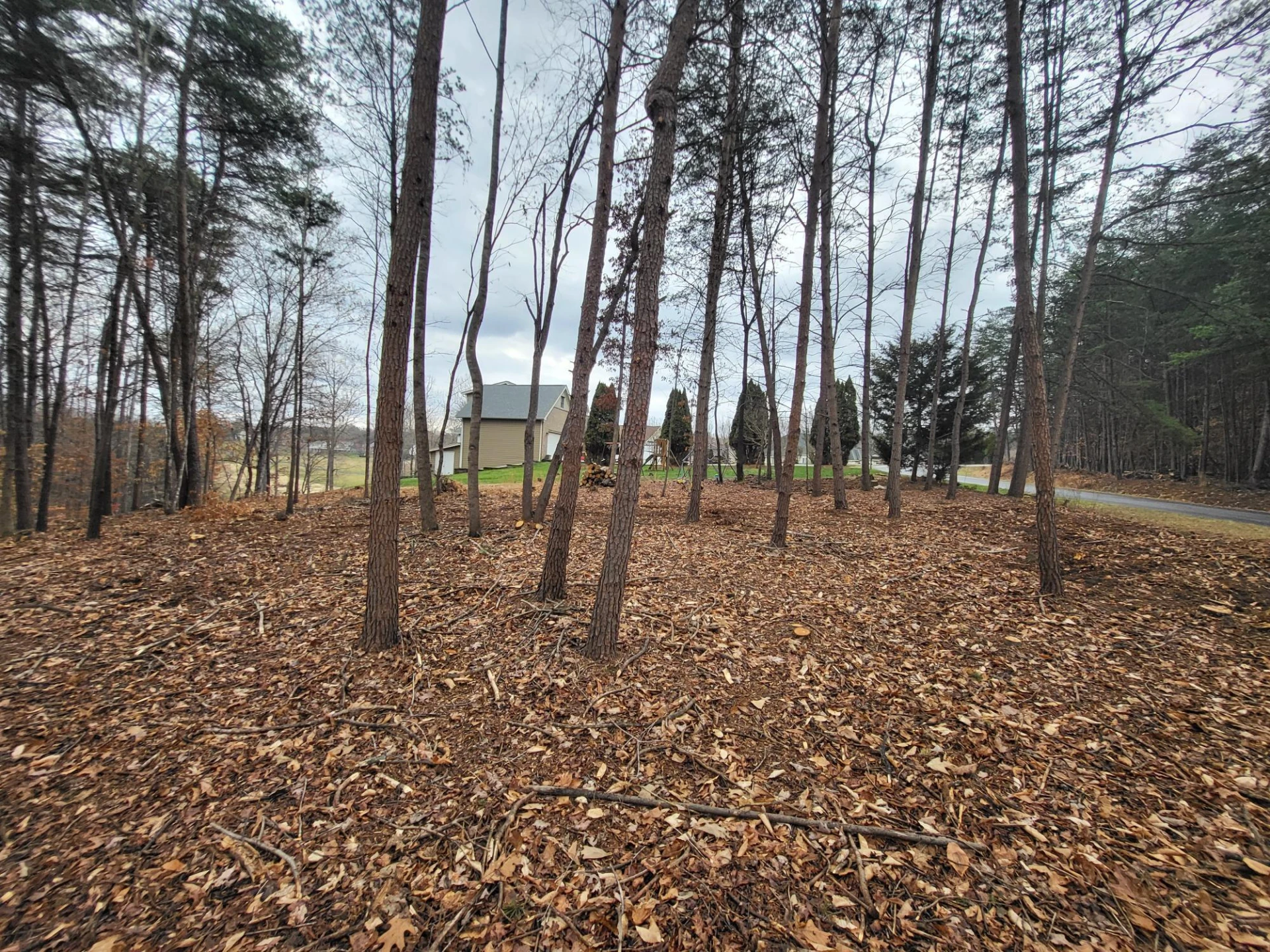 67 Peaks View DR - Photo 6