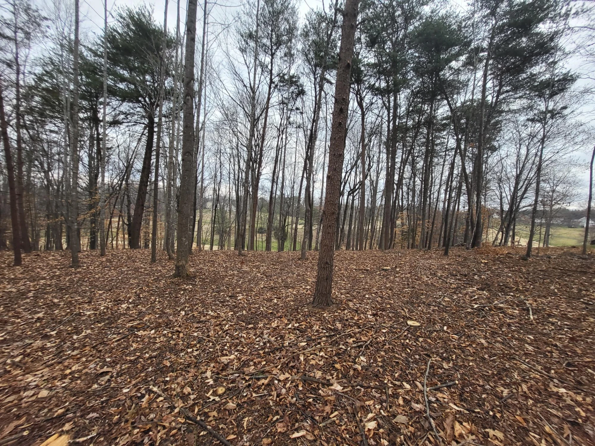67 Peaks View DR - Photo 7