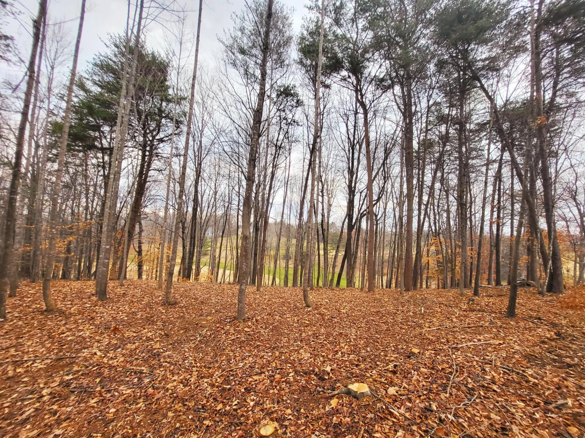 67 Peaks View DR - Photo 8