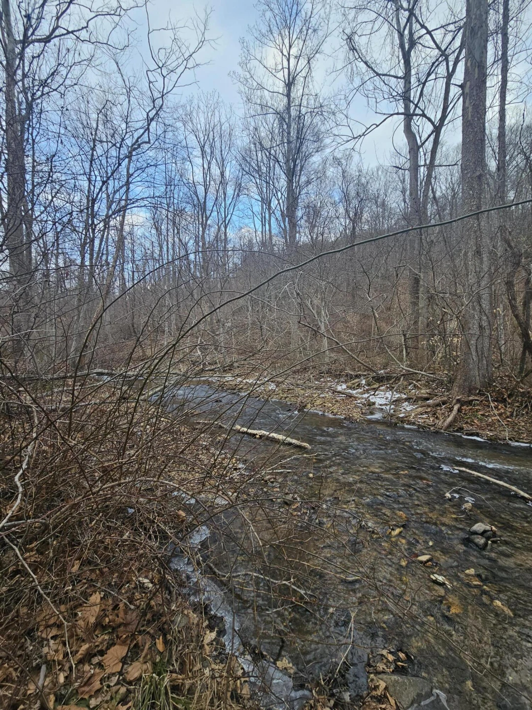 13120 Callaway RD - Photo 47