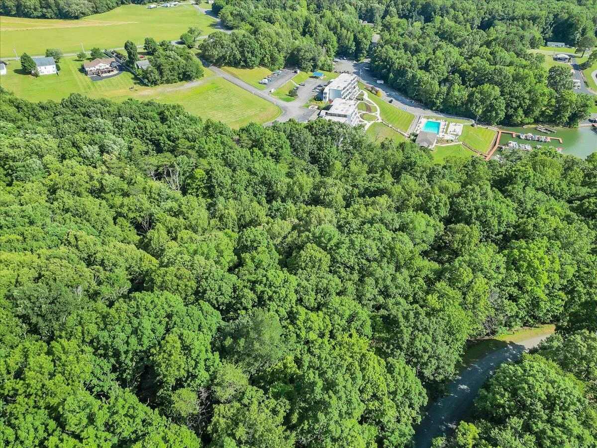 54 Shad Run DR - Photo 3
