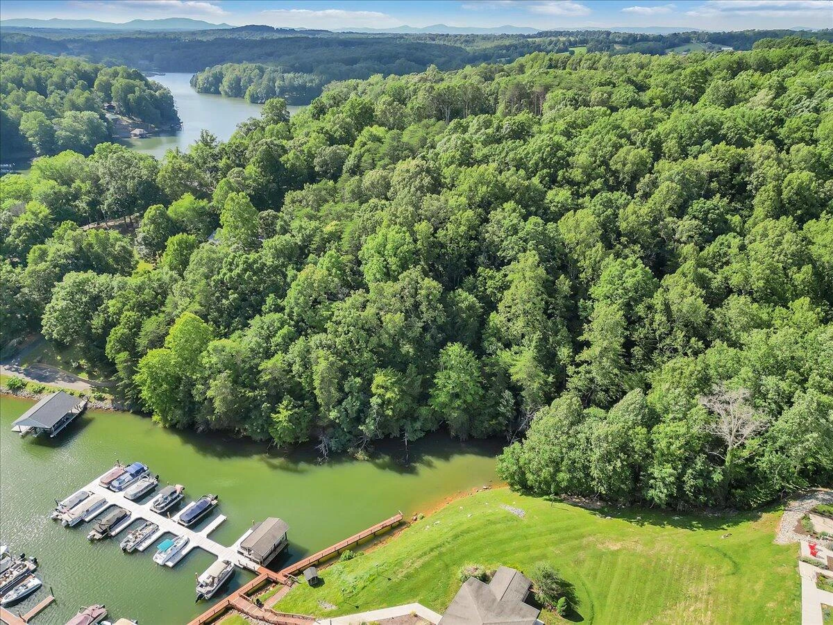 54 Shad Run DR - Photo 4