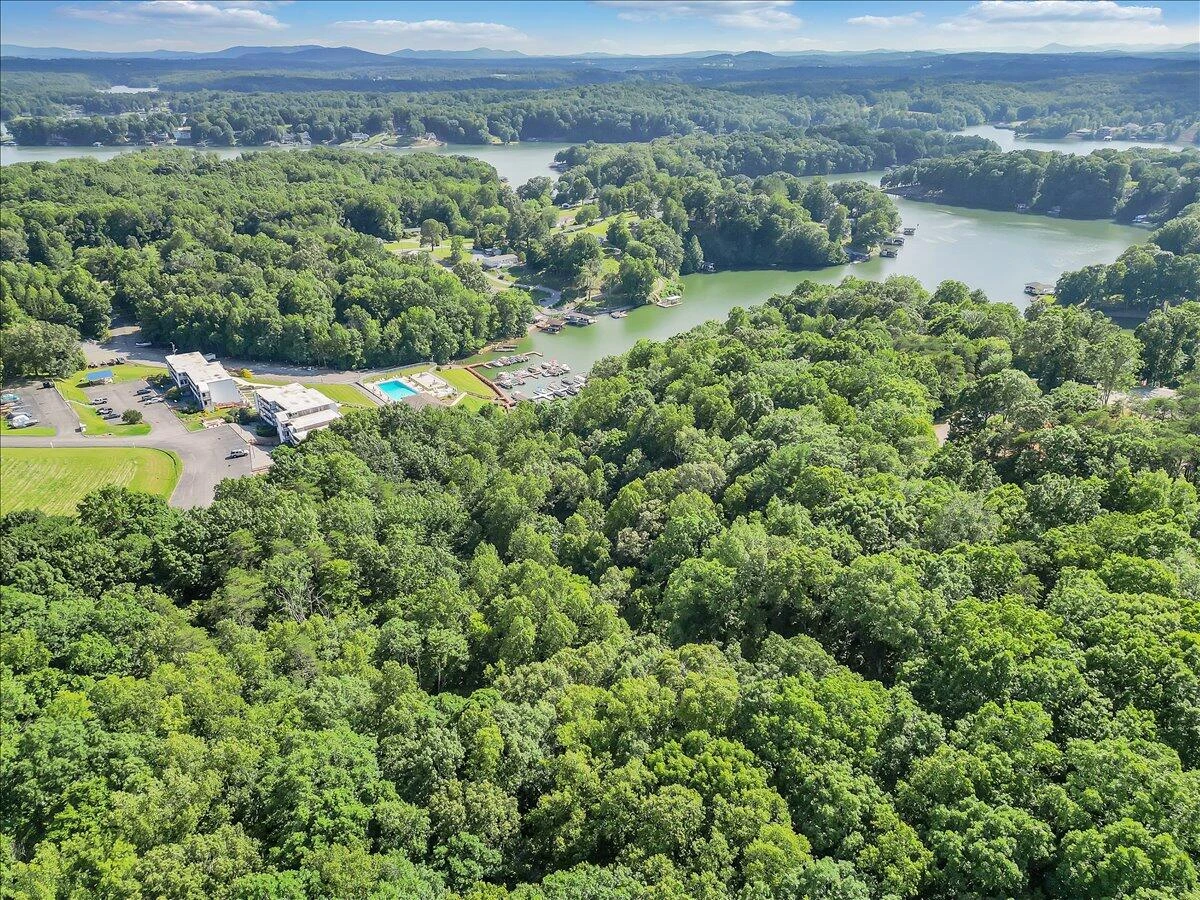 54 Shad Run DR - Photo 7