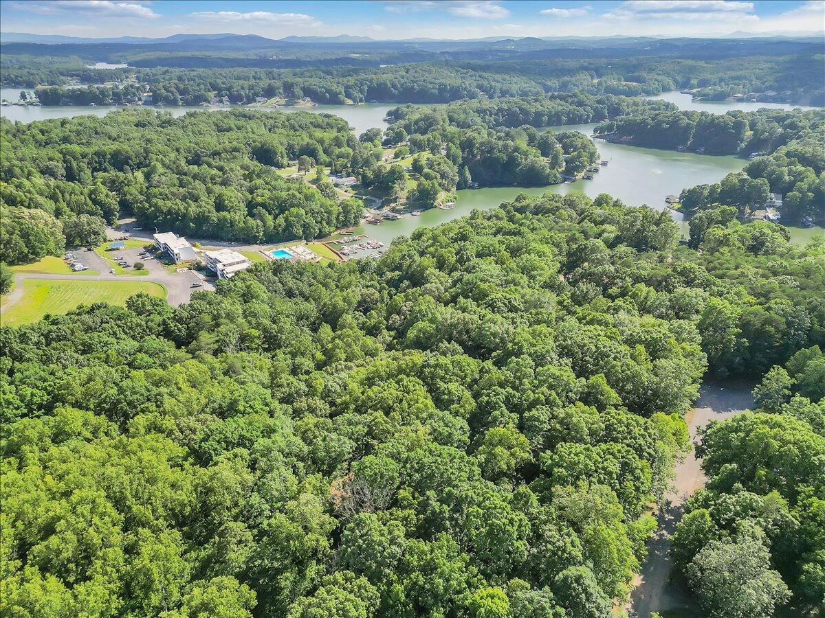 54 Shad Run DR - Photo 8