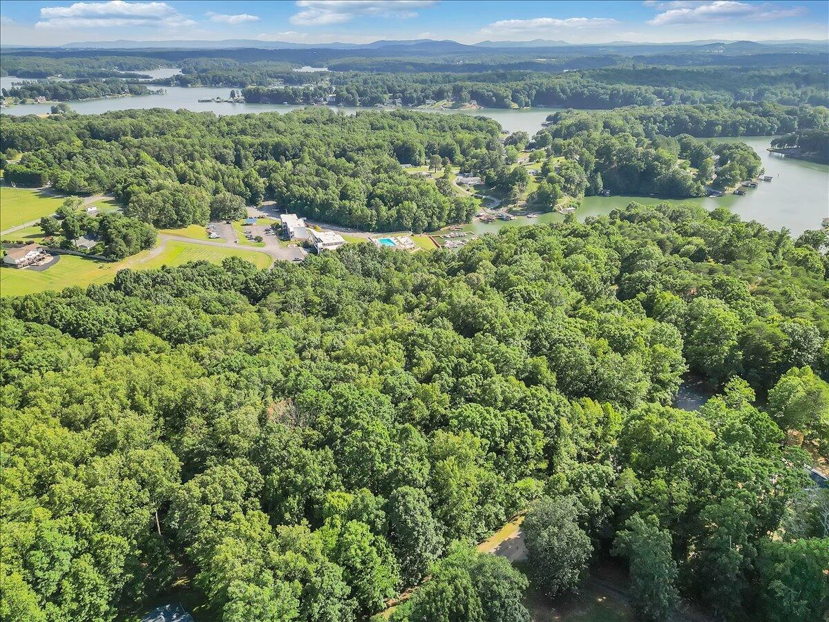 54 Shad Run DR - Photo 9