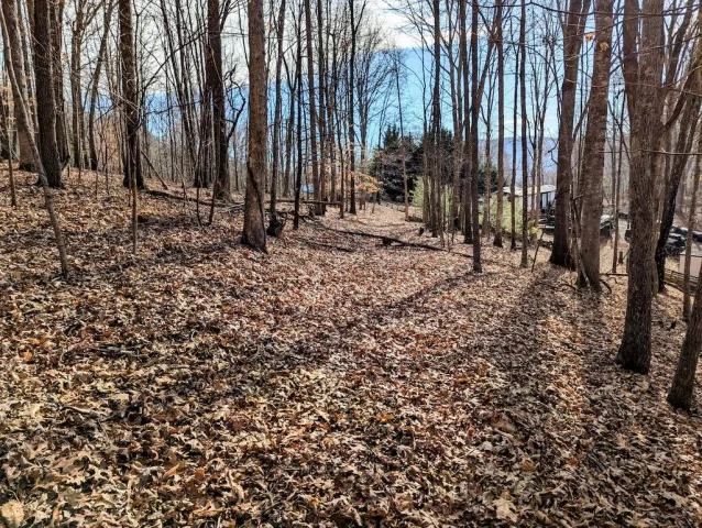 0 Irish Mountain RD