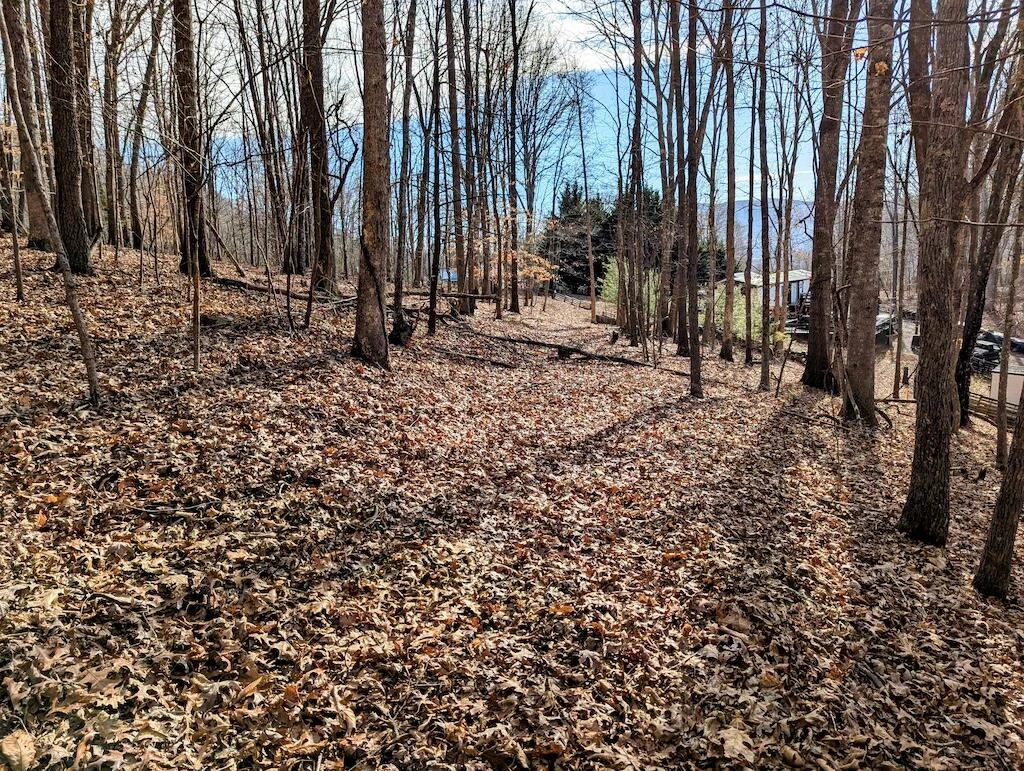 0 Irish Mountain RD