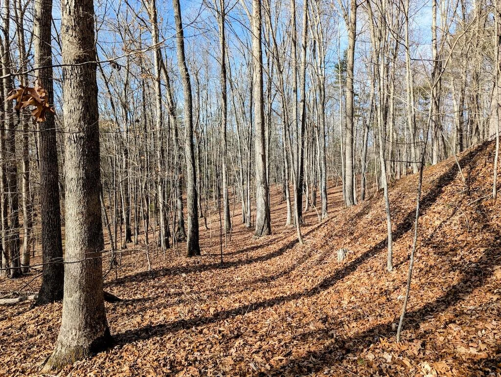 0 Irish Mountain RD - Photo 4