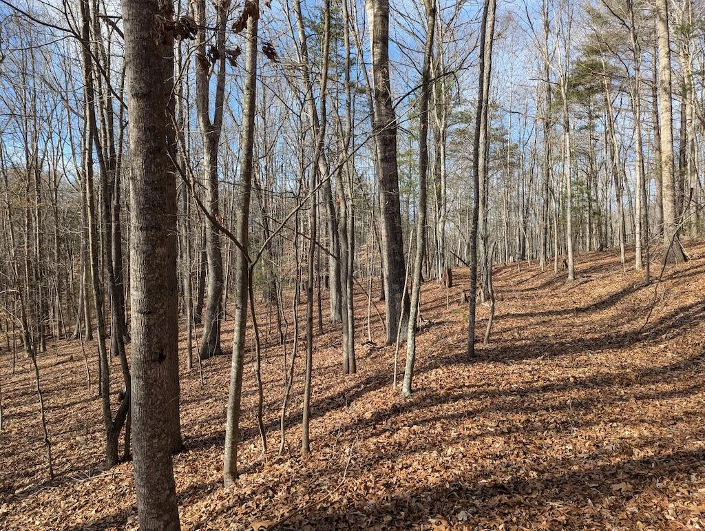 0 Irish Mountain RD - Photo 5