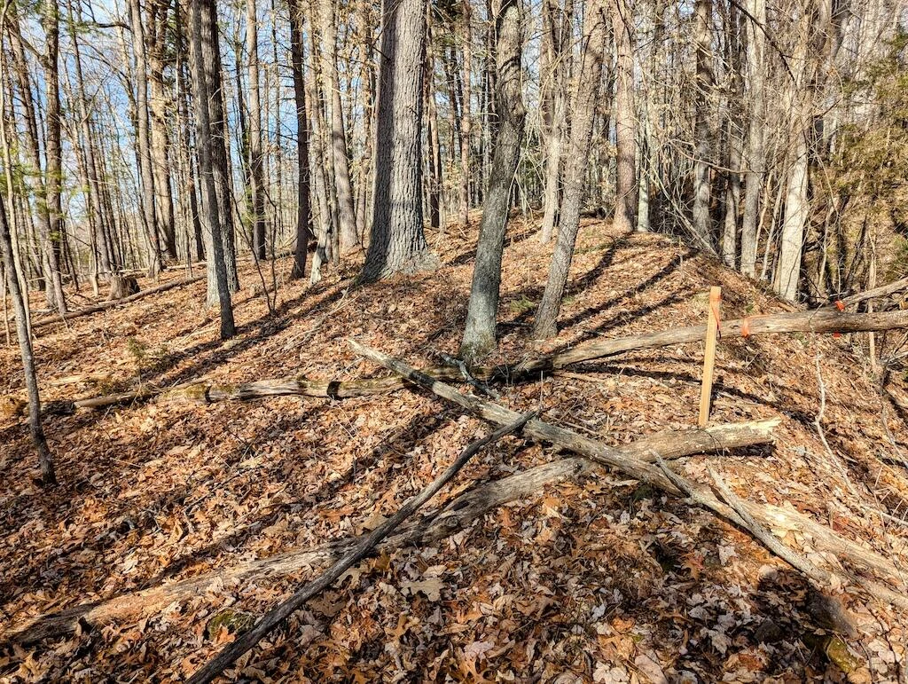 0 Irish Mountain RD - Photo 6