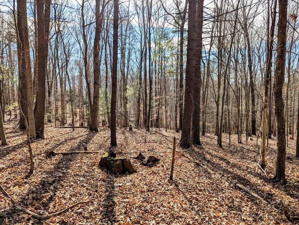 0 Irish Mountain RD - Photo 7