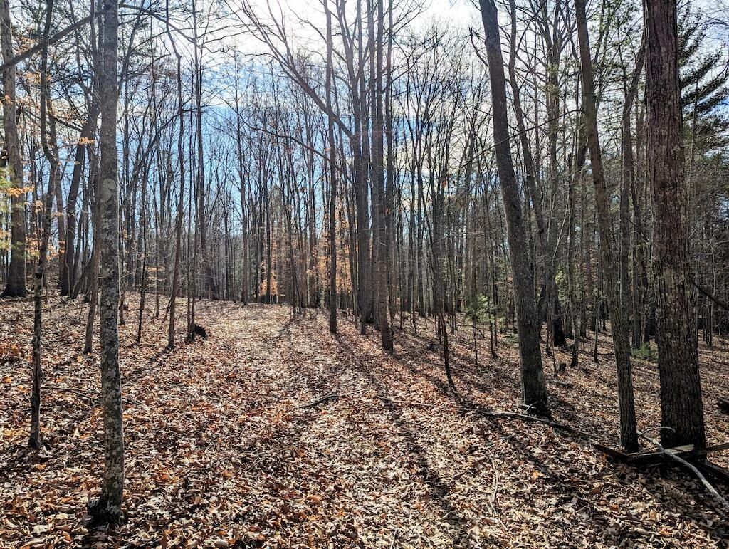 0 Irish Mountain RD - Photo 8