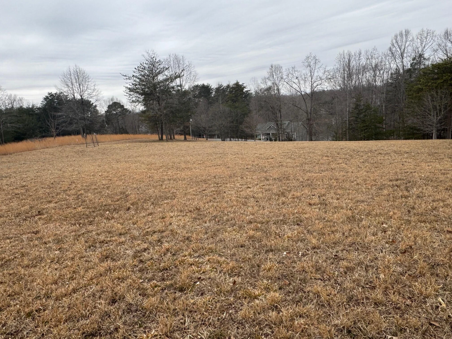 Lot 2 & 3 Buck Run DR - Photo 2