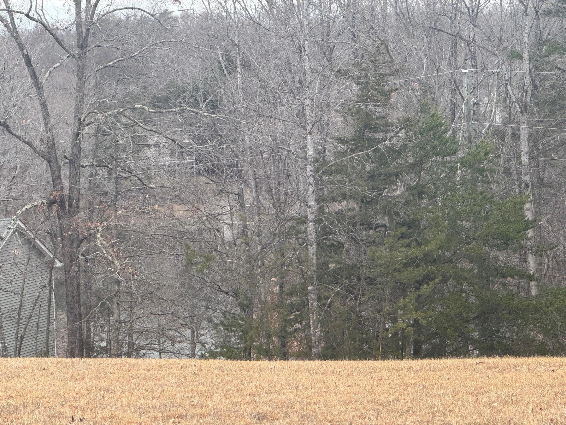 Lot 2 & 3 Buck Run DR - Photo 3