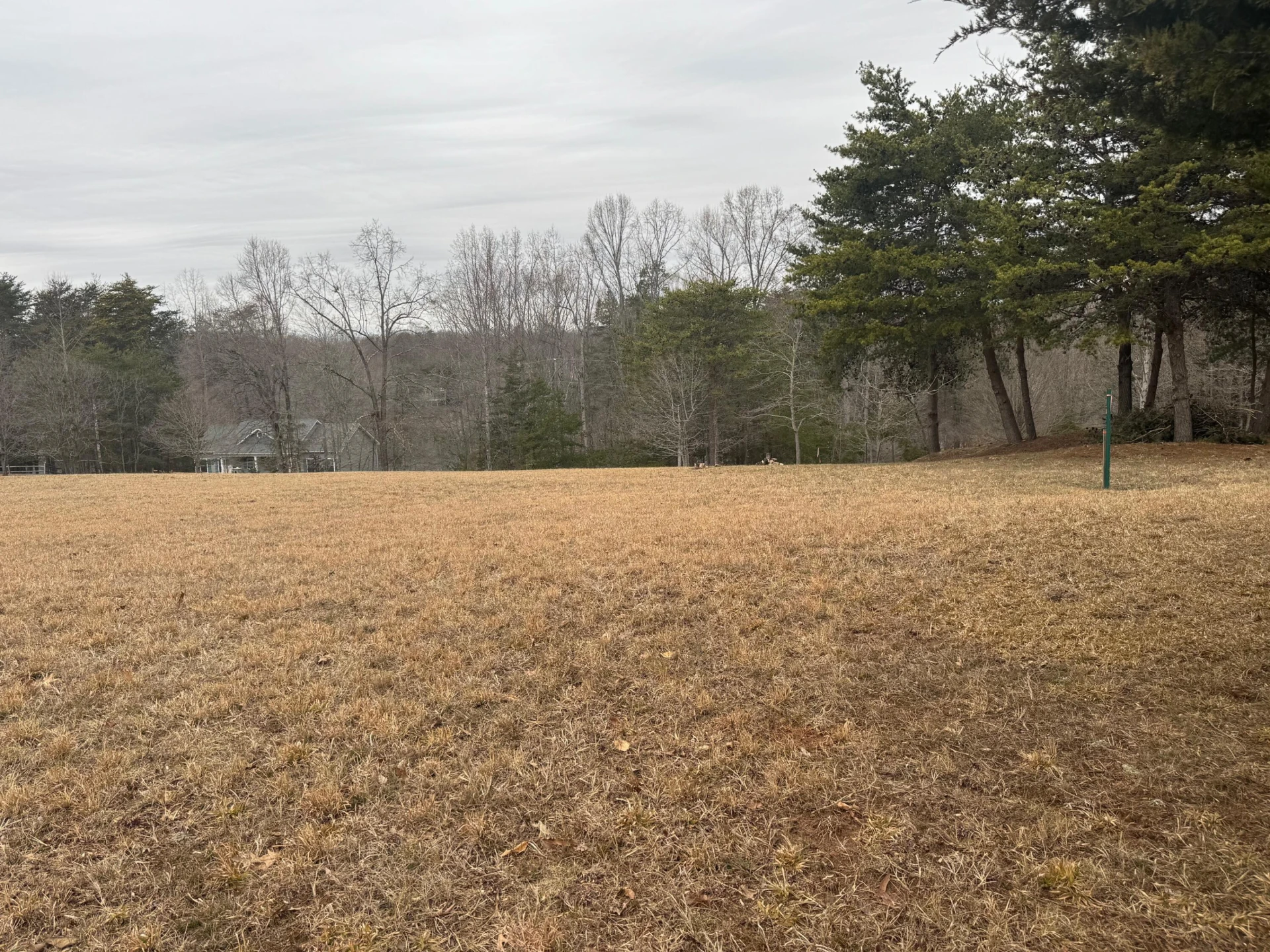 Lot 2 & 3 Buck Run DR - Photo 4