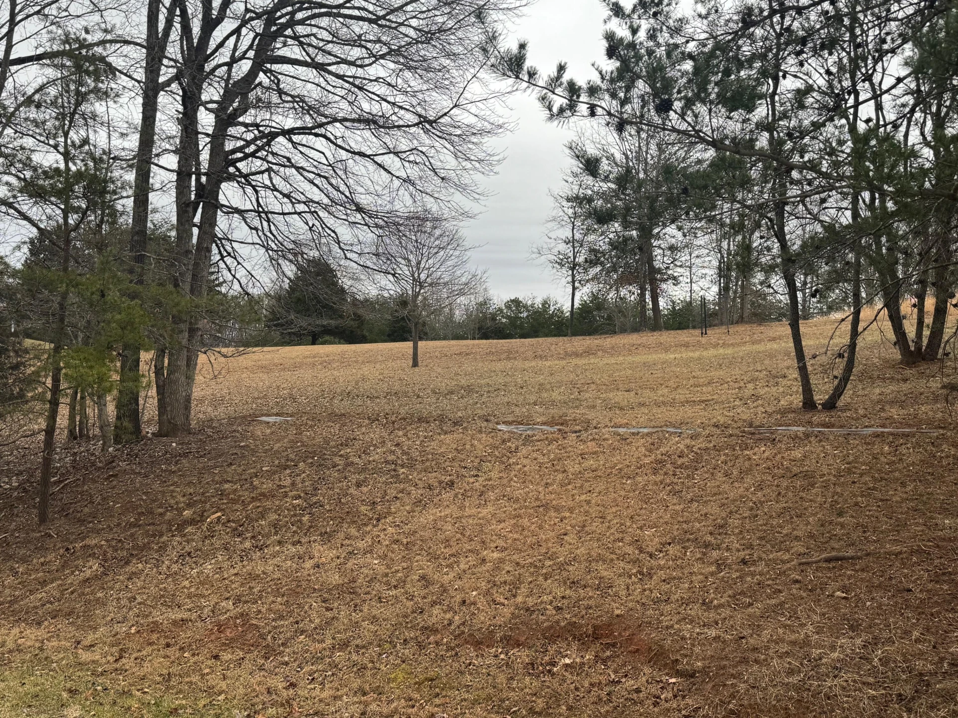Lot 2 & 3 Buck Run DR - Photo 5