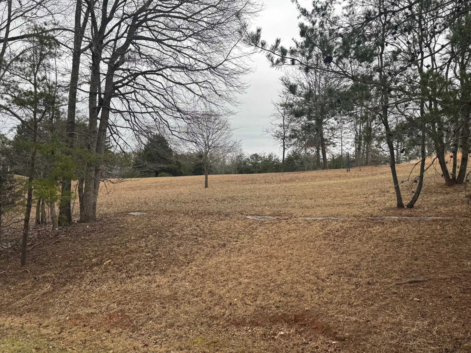 Lot 2 & 3 Buck Run DR - Photo 6