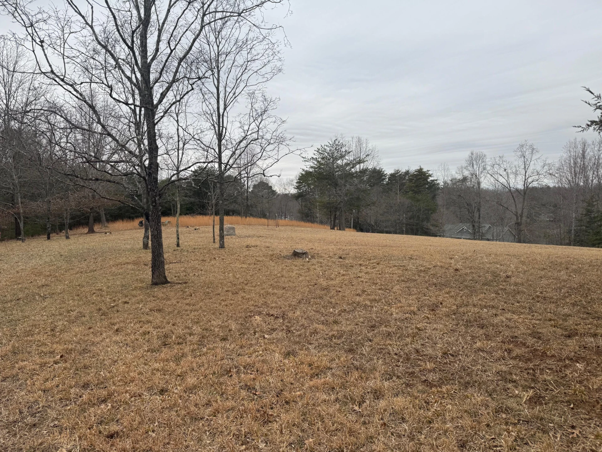 Lot 2 & 3 Buck Run DR - Photo 7