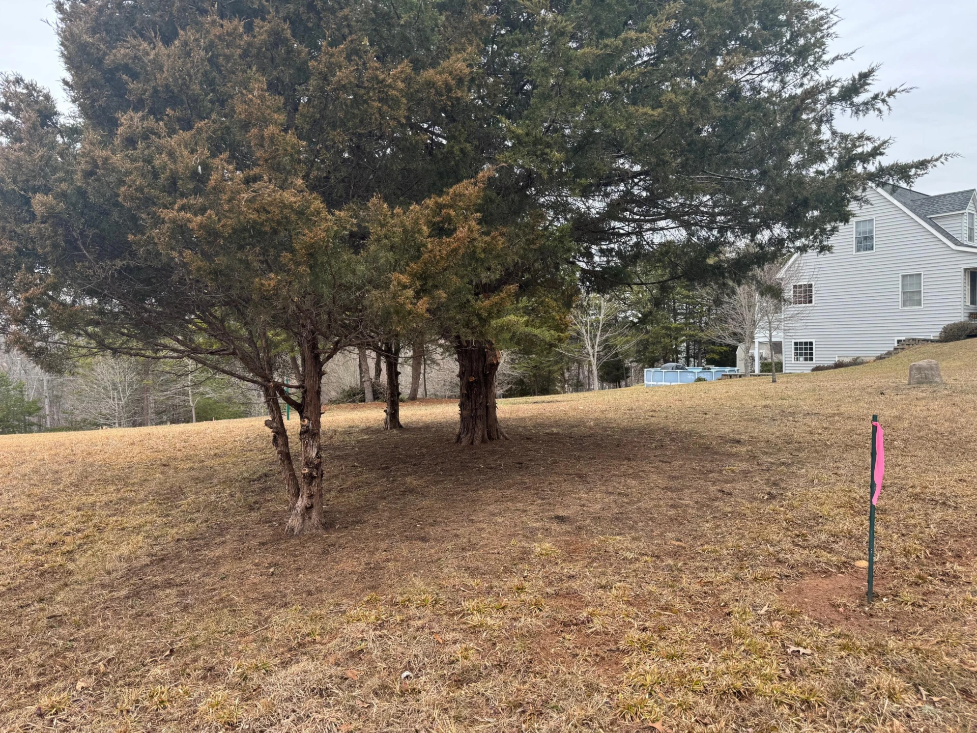 Lot 2 & 3 Buck Run DR - Photo 8