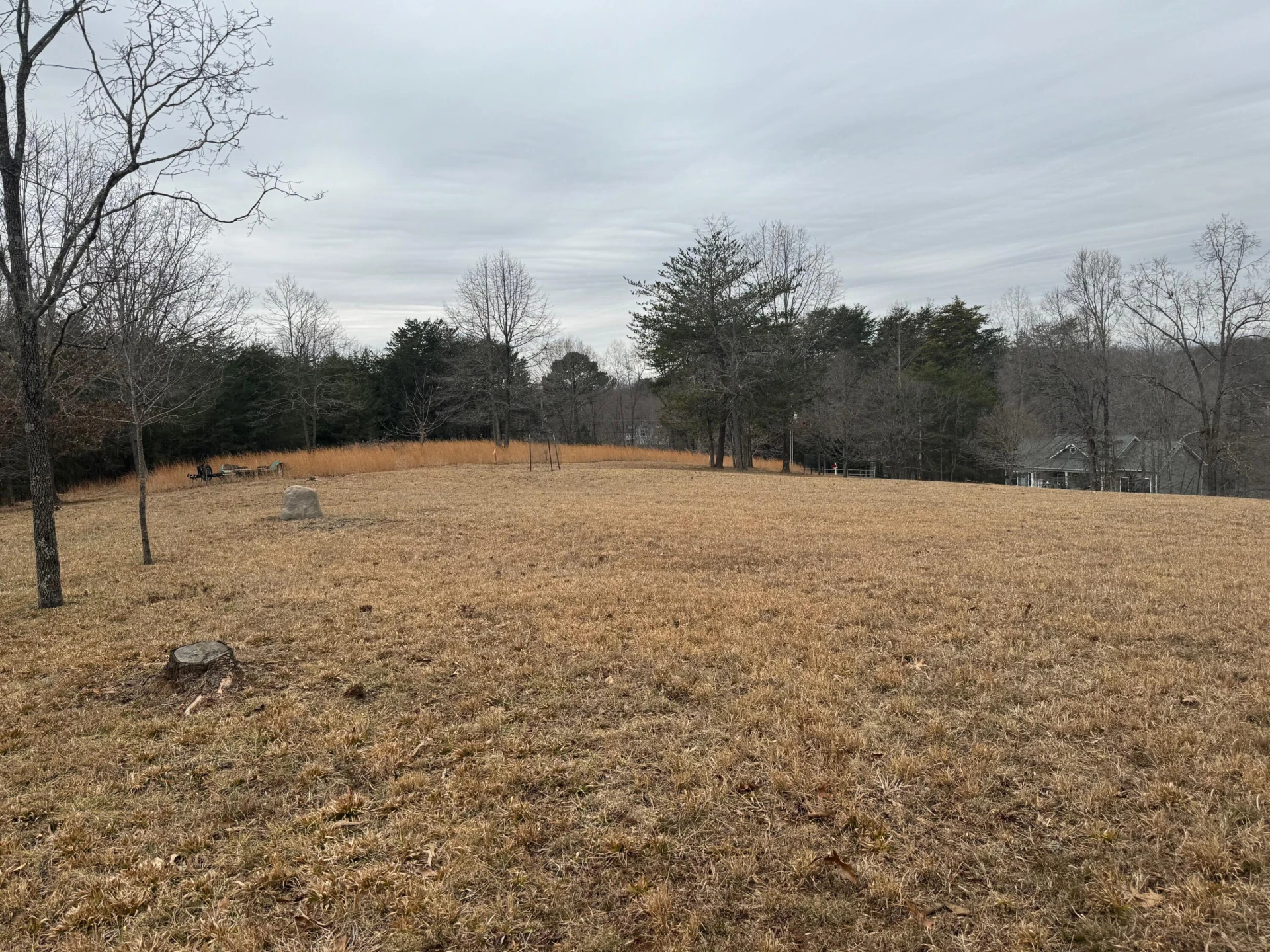 Lot 2 & 3 Buck Run DR - Photo 9