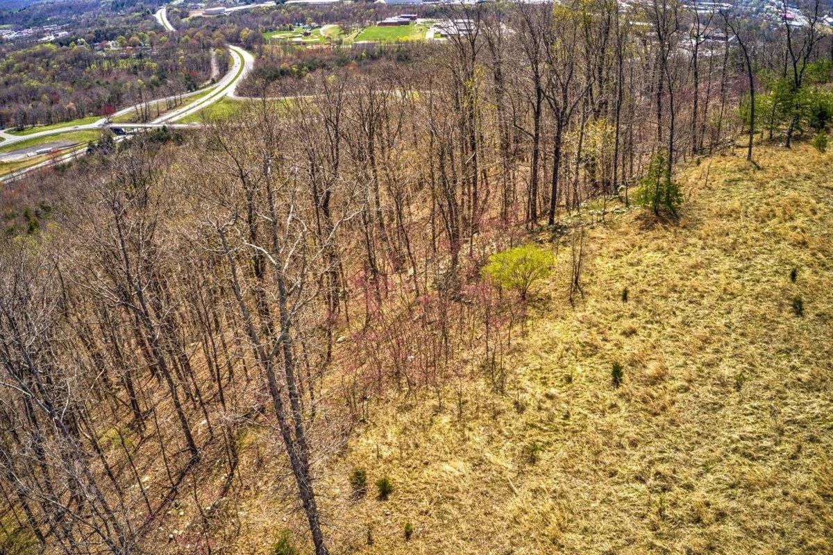 Lot 63 Penny LN - Photo 16