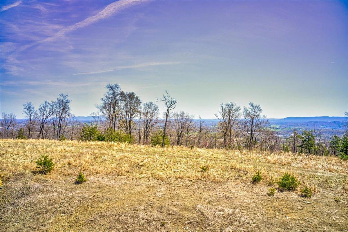 Lot 63 Penny LN - Photo 2