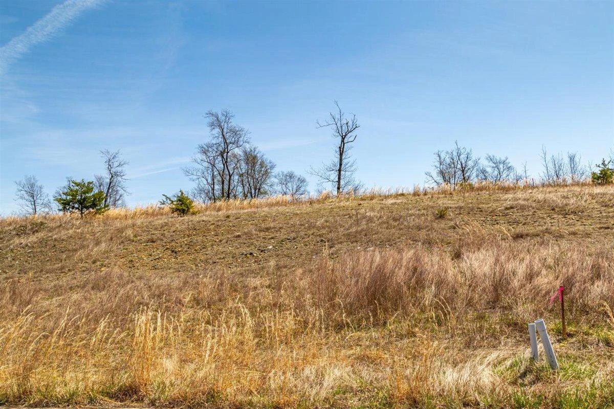 Lot 63 Penny LN - Photo 6