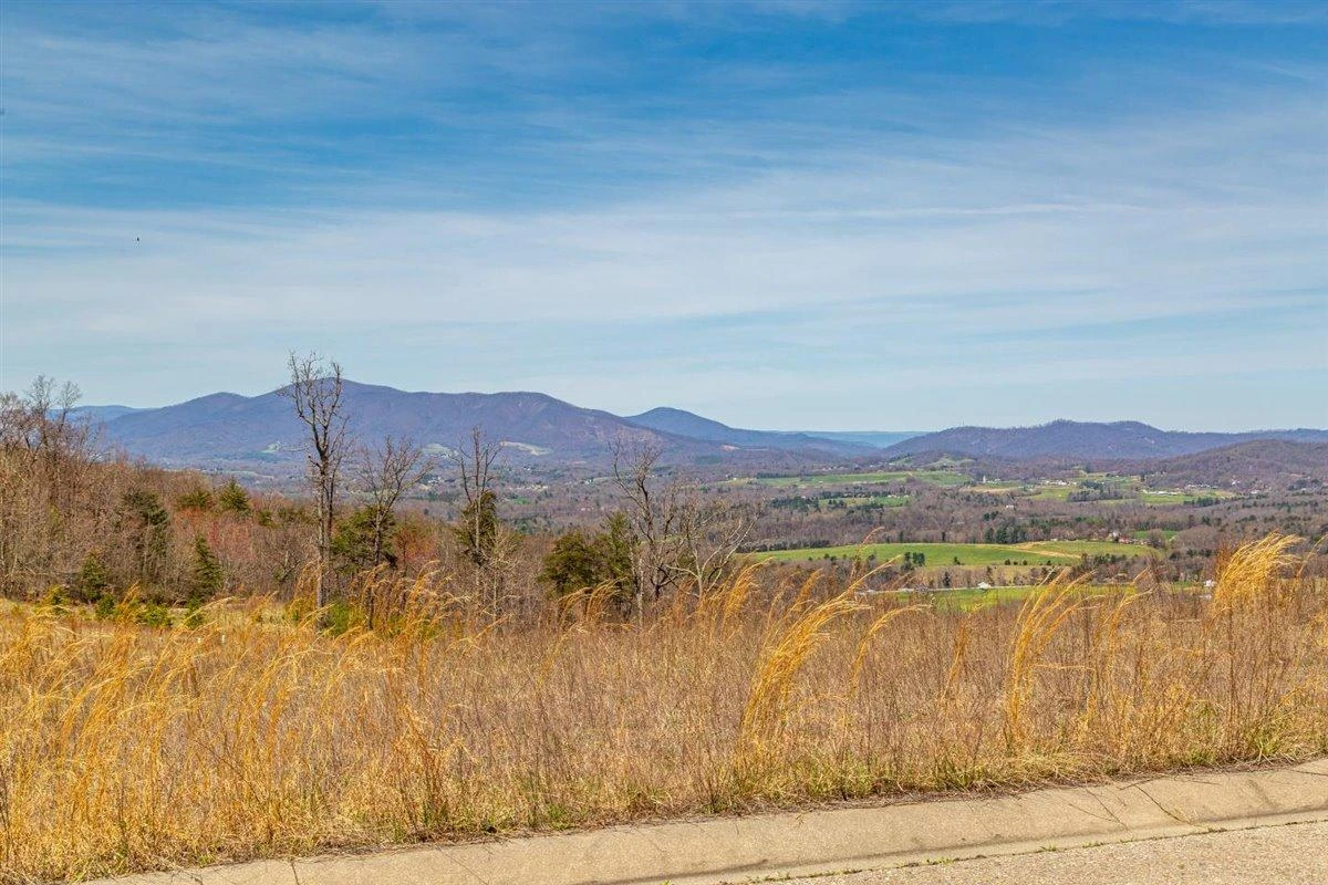 Lot 63 Penny LN - Photo 7