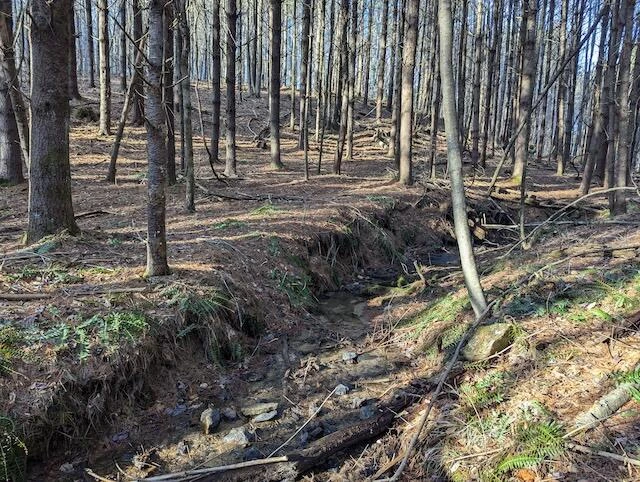 TBD Indian Valley PO RD - Photo 10