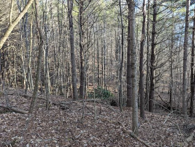 TBD Indian Valley PO RD - Photo 11