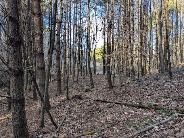 TBD Indian Valley PO RD - Photo 12