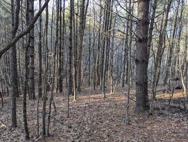 TBD Indian Valley PO RD - Photo 13