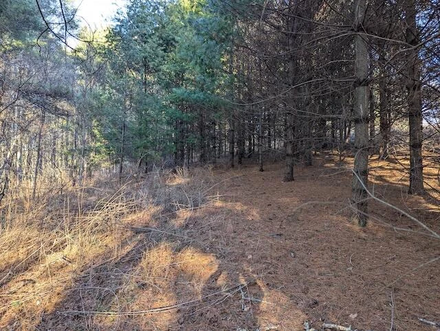 TBD Indian Valley PO RD - Photo 14