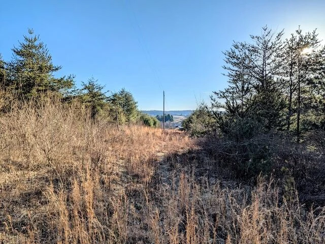TBD Indian Valley PO RD - Photo 15