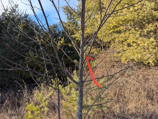 TBD Indian Valley PO RD - Photo 16