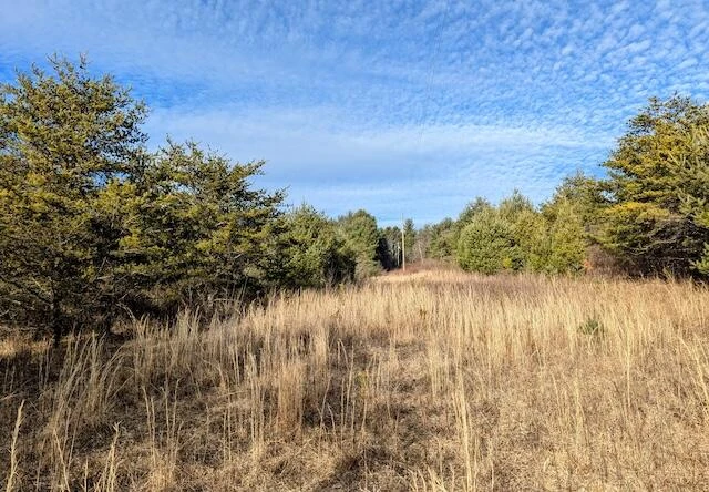 TBD Indian Valley PO RD - Photo 2