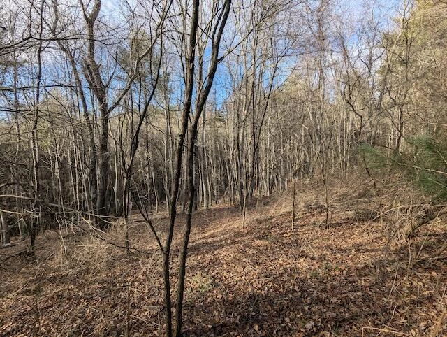 TBD Indian Valley PO RD - Photo 5
