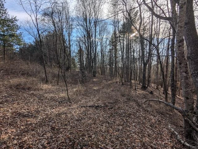 TBD Indian Valley PO RD - Photo 6