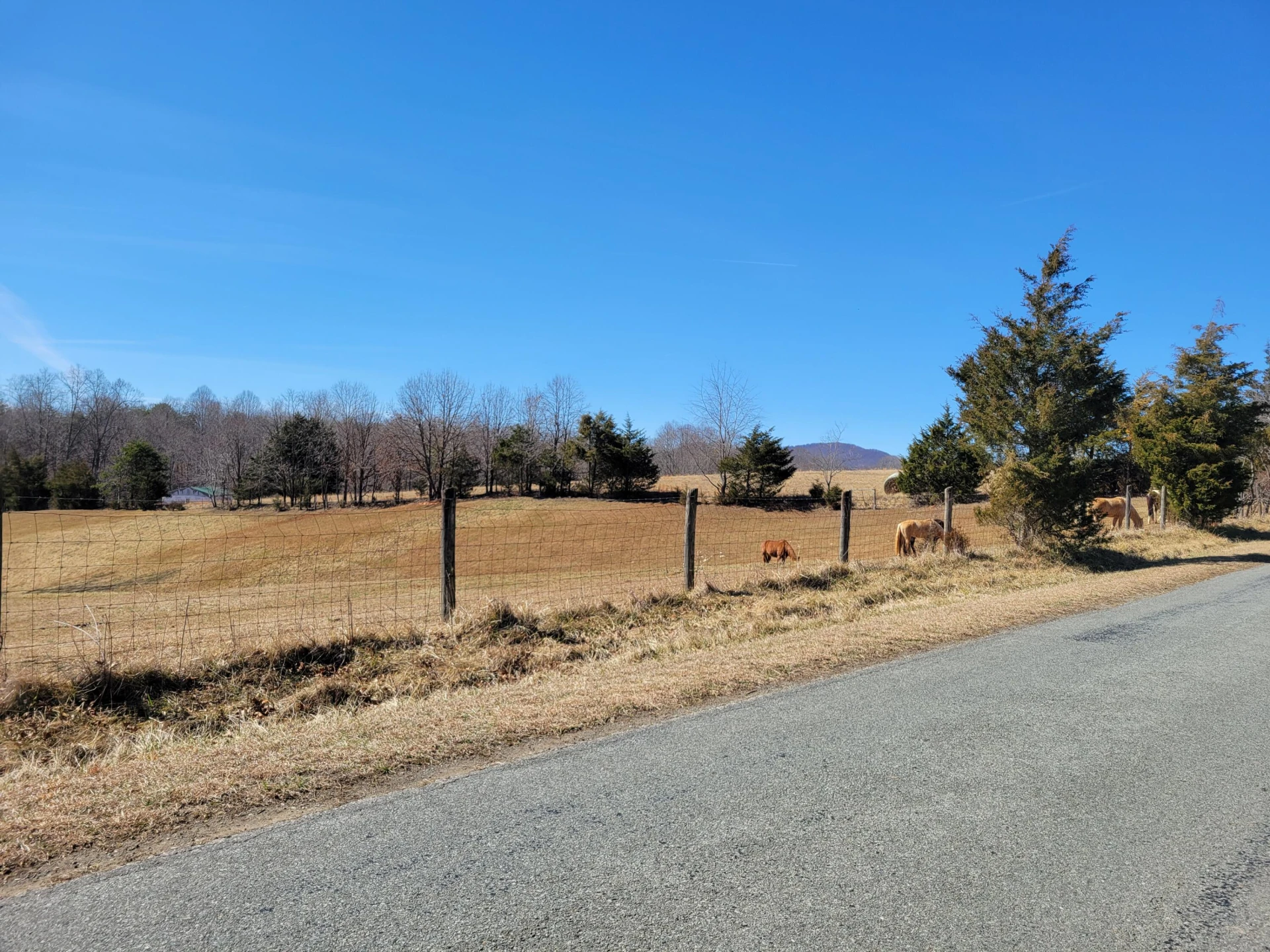 3038 Eton RD - Photo 21