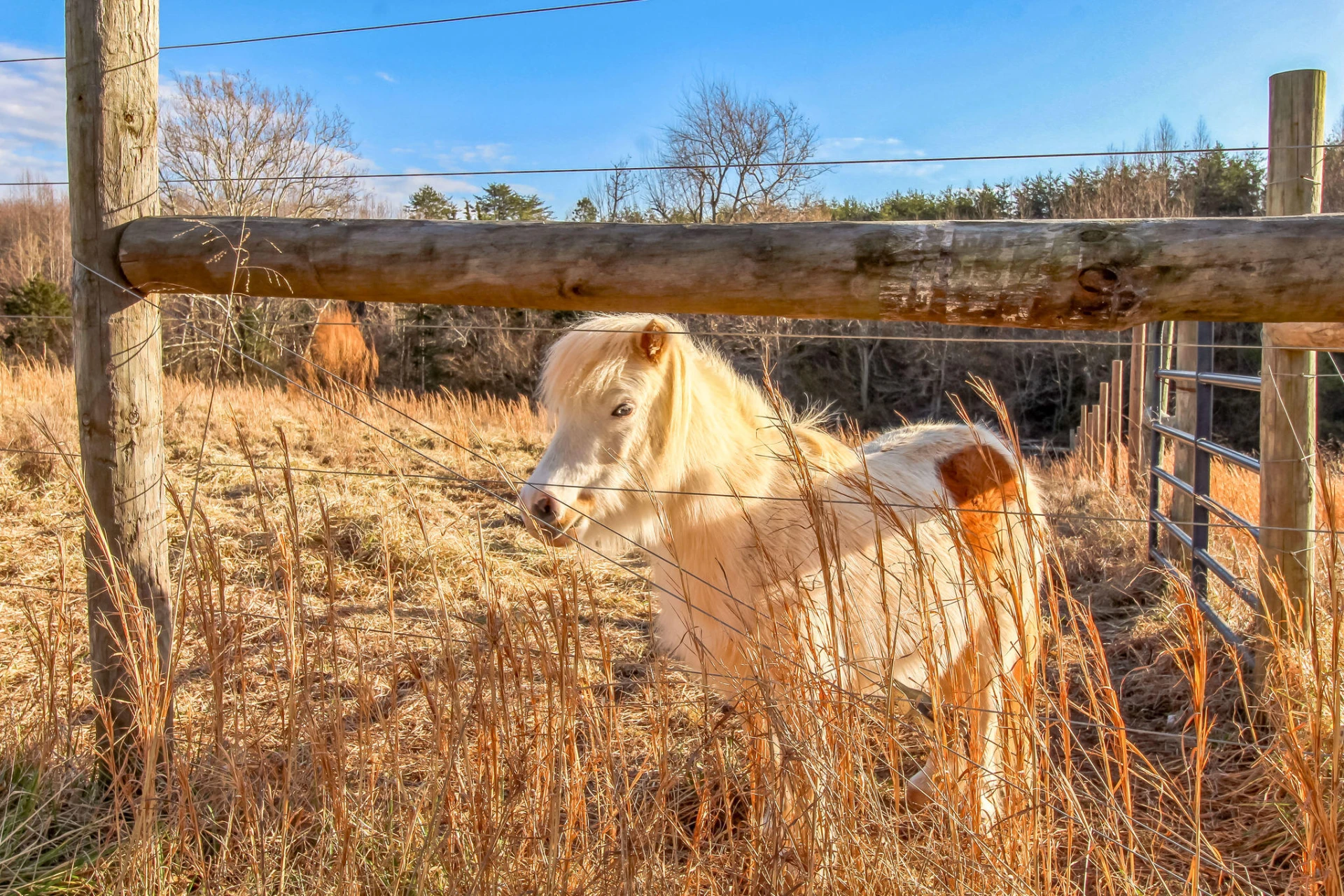 10565 Callands RD - Photo 4