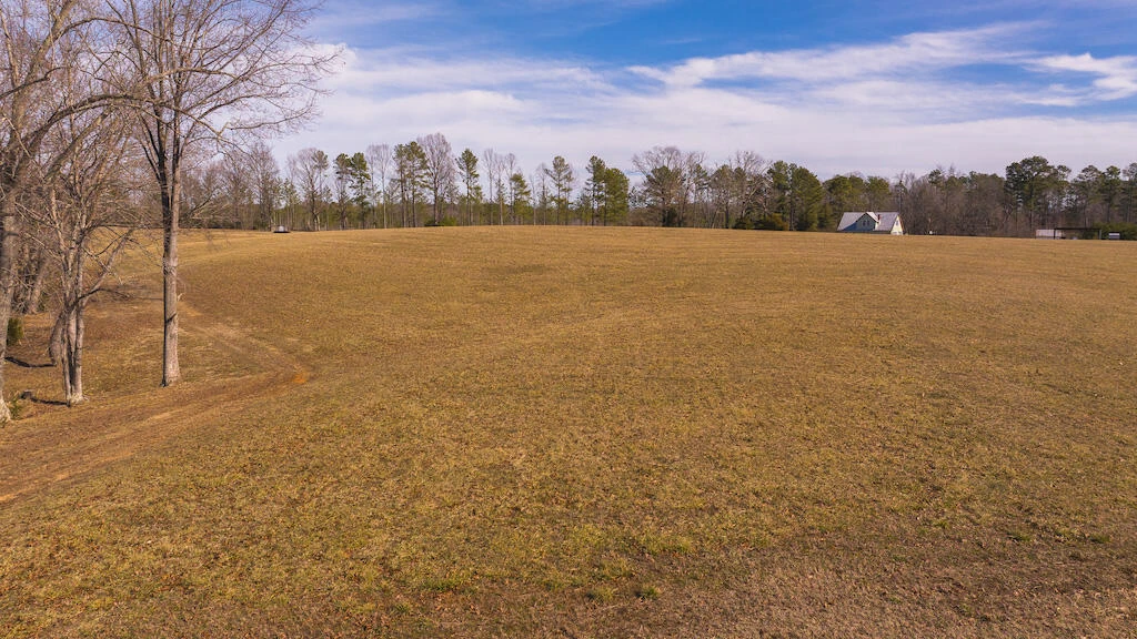 11300 Amelia Springs RD - Photo 9